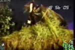 嘉庆君游台湾之忠义双全 1