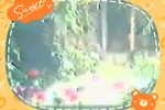 莲花铁三郎 全下载