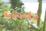 江南四才子 全40集