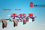 李妙惠
