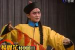 楊麗花歌仔戲－大戰鐵公雞 1987下载