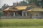 草蜢弄鸡公