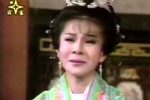 楊家將 共18段 第07段下载
