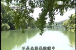 菩提禅心 2013年下载
