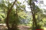 红尘奇英 第7部第1集下载