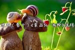 李亚仙·游院 选场  自制字幕
