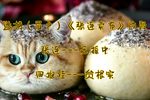 张连卖布下载