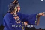 张连卖布下载