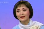 蝶恋花