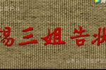 杨三姐告状下载