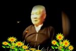盘店 音频景音配像下载