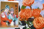 花亭相会 眉户全折·自制字幕