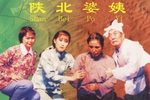 陕北婆姨下载