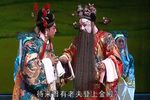 屠夫状元 全本下载