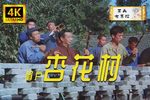 杏花村 1983版  高清修复下载