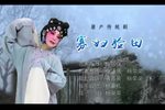 寡妇验田 全折