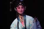 黛玉葬花 折子戏