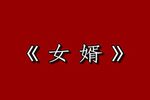 女婿 全本下载
