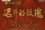迟开的玫瑰下载