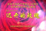 迟开的玫瑰 青春版