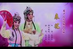 火焰驹 表花（选场）下载