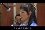 说贤良