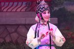 表花 高清版