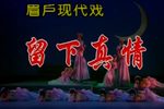 留下真情
