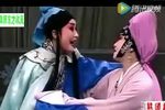 玉婵泪 全本戏