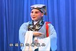 窦娥冤 全本高清版