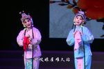 党的女儿 全本下载