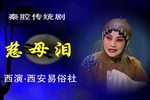 慈母泪