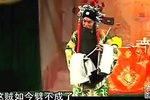 白叮本下载