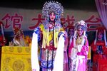 斩秦英下载