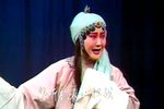 慈母泪 全本下载