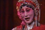 杨门女将 全本下载
