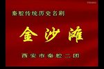 金沙滩 全本