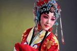 火焰驹 全本