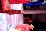 斩秦英