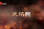 火焰驹