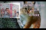新十八扯 全折  自制字幕