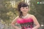 洪湖赤卫队