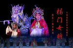 杨门女将 全本