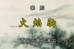 火焰驹 CCTV空中剧院下载