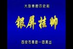 银屏挂帅 全剧 01下载