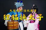 狸猫换太子 全本