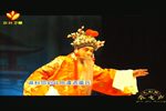 状元媒 全本