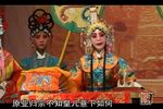白叮本 全本