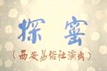 探窑
