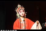 卖苗郎 全本